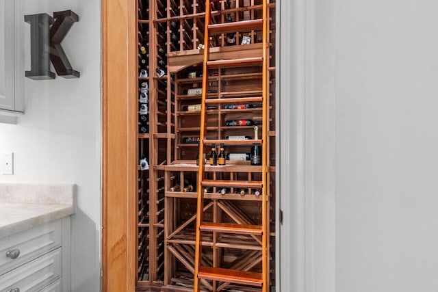 view of wine cellar