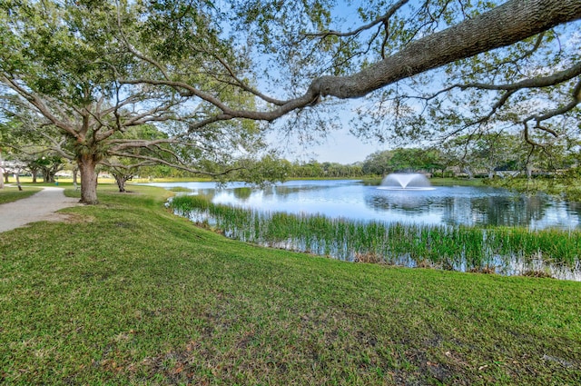 view of water feature