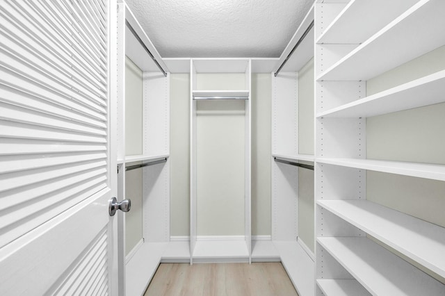 spacious closet with light wood-type flooring