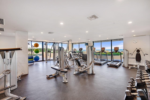 workout area featuring a wall of windows