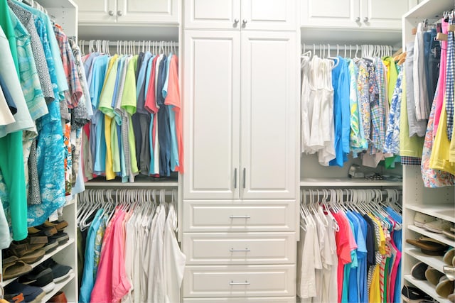 view of walk in closet