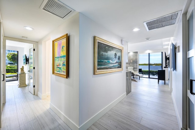 hall featuring light hardwood / wood-style floors and a healthy amount of sunlight