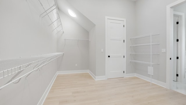 spacious closet with light wood-type flooring