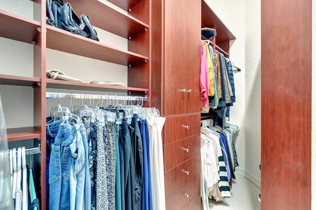 view of walk in closet