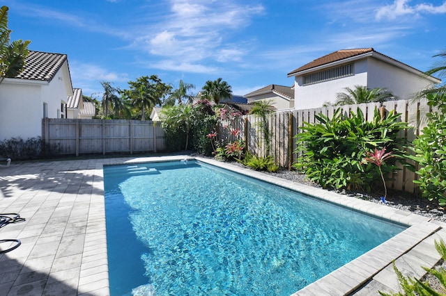 view of swimming pool