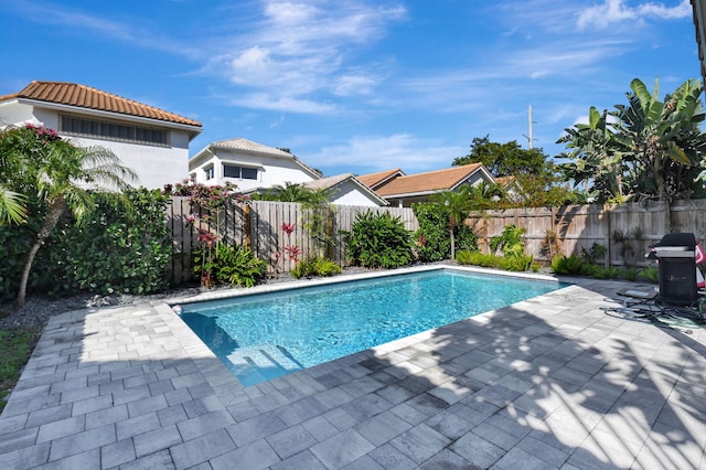 view of swimming pool with a patio area