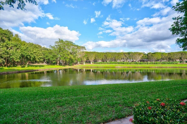 property view of water