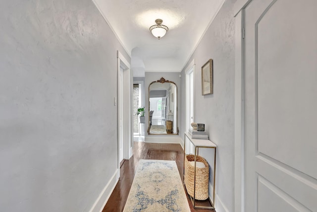 corridor featuring dark wood-type flooring