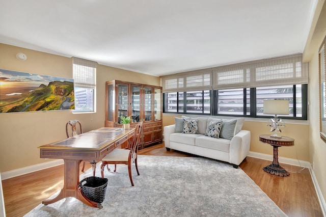 office with baseboards and wood finished floors