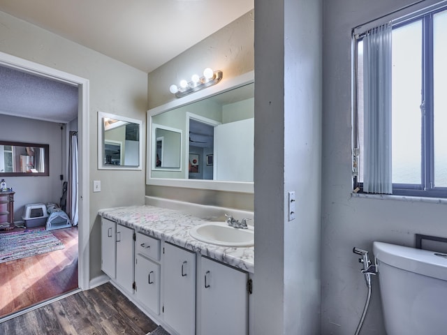 bathroom featuring a wealth of natural light, hardwood / wood-style floors, vanity, and toilet