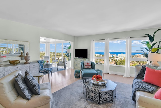 living room featuring hardwood / wood-style floors