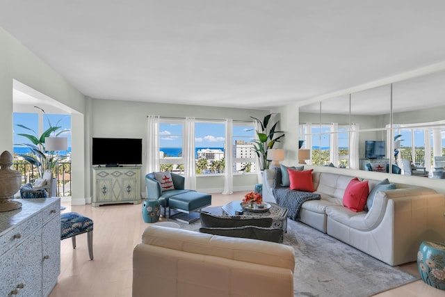 living room featuring light hardwood / wood-style flooring