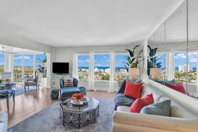 living room with hardwood / wood-style flooring