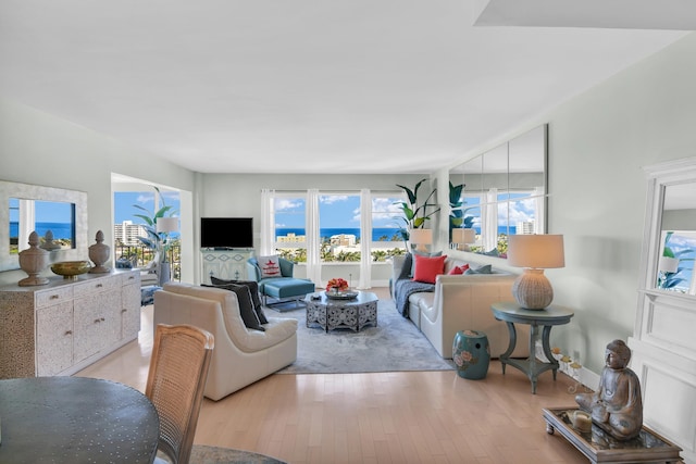 living room with a healthy amount of sunlight and light wood-type flooring