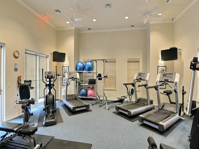 workout area featuring crown molding, ceiling fan, and carpet flooring