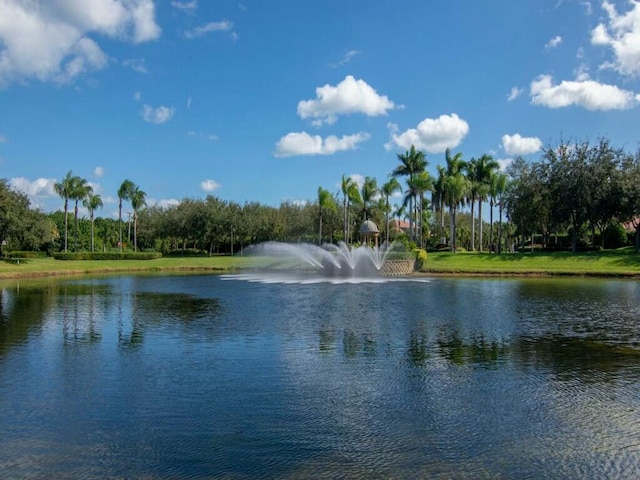 property view of water