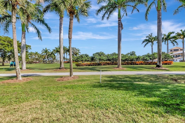 view of community featuring a lawn