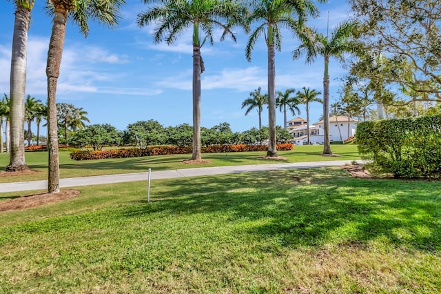 view of property's community with a lawn