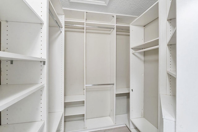 view of walk in closet