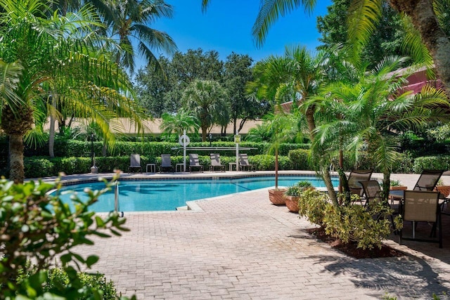 view of pool with a patio