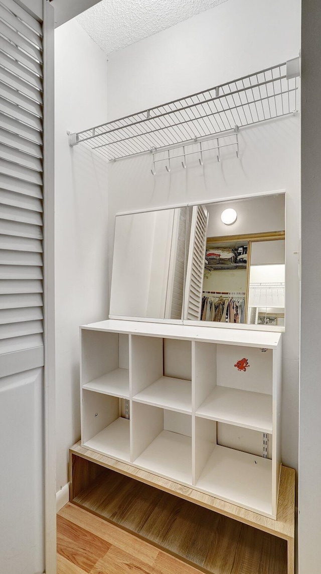 walk in closet with wood-type flooring