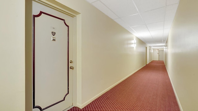 hall featuring carpet flooring and a paneled ceiling