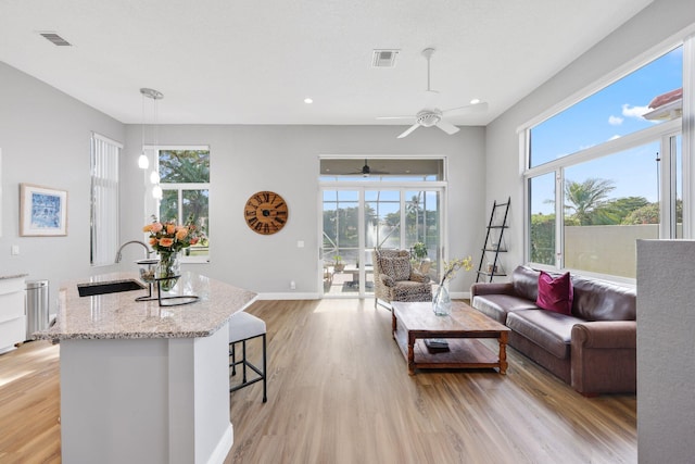 living room with sink, light hardwood / wood-style flooring, and a wealth of natural light