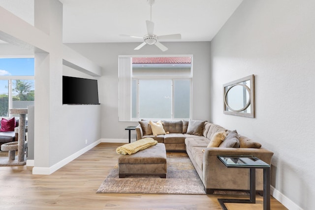 living room featuring ceiling fan and light hardwood / wood-style flooring