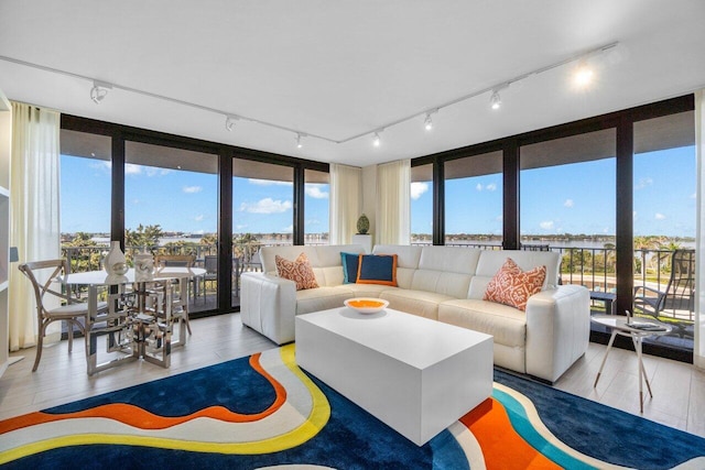 living room with light hardwood / wood-style flooring and expansive windows