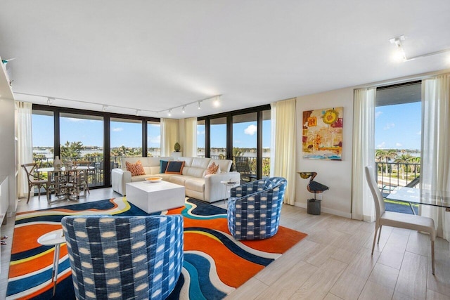 living room with floor to ceiling windows, plenty of natural light, and light wood-type flooring