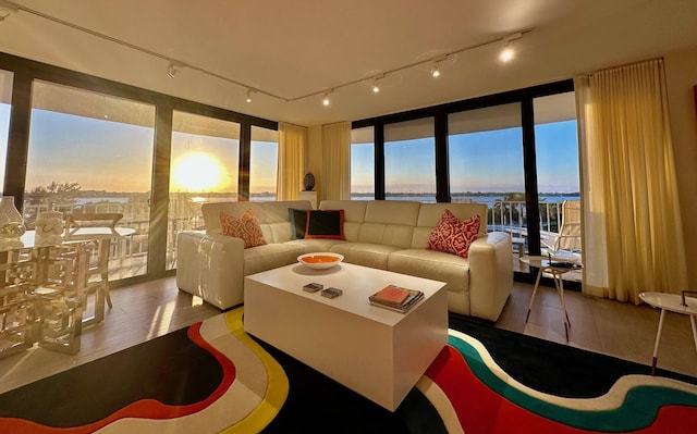 living room featuring expansive windows, a healthy amount of sunlight, and hardwood / wood-style floors