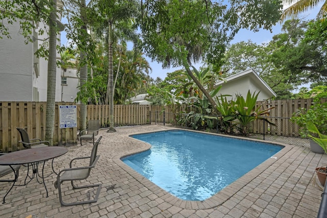 view of swimming pool with a patio area