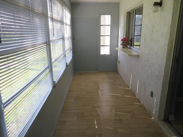 entryway featuring hardwood / wood-style flooring