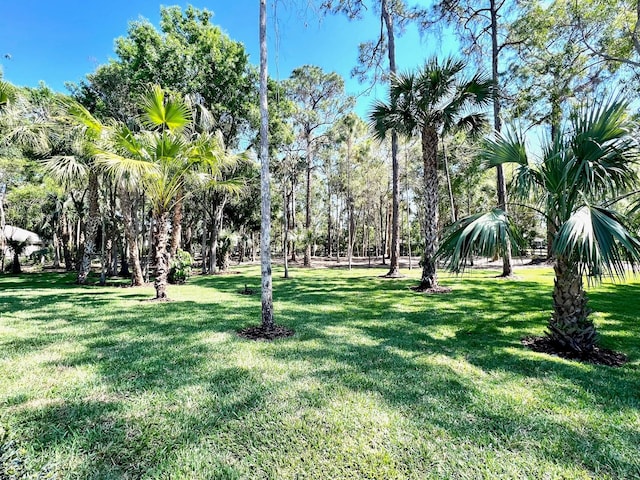 view of community with a lawn