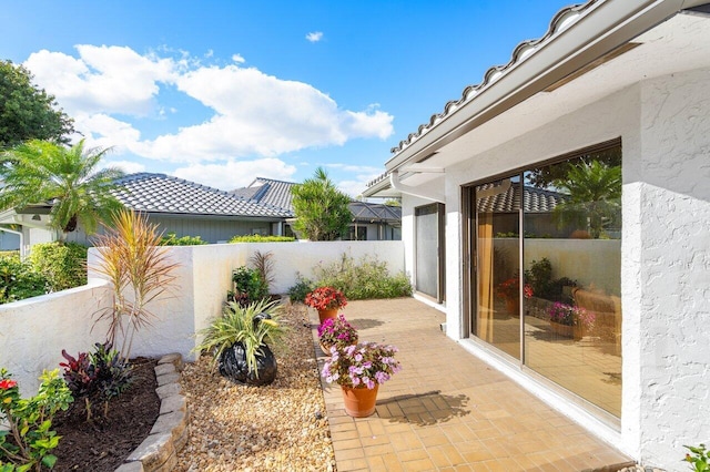 view of yard featuring a patio area