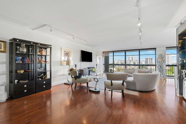 living room with crown molding, a wall of windows, wood-type flooring, and track lighting