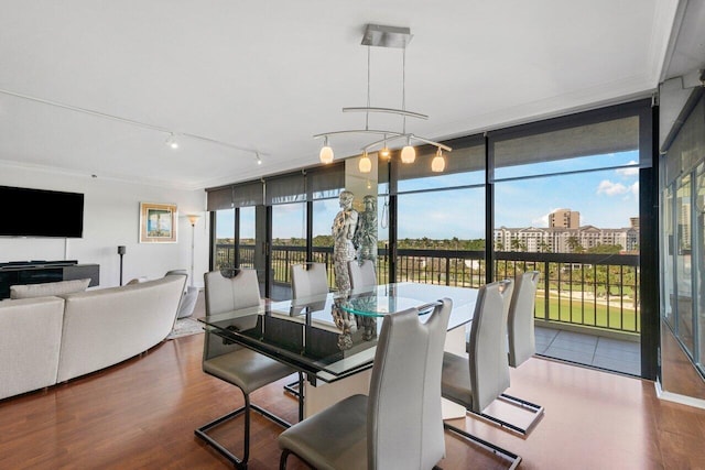 dining space featuring expansive windows, ornamental molding, a healthy amount of sunlight, and wood-type flooring