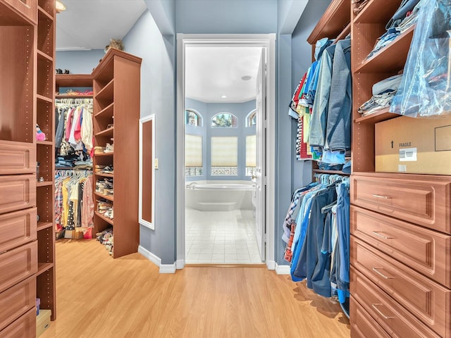 spacious closet with light hardwood / wood-style flooring