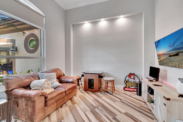 living room featuring light hardwood / wood-style floors