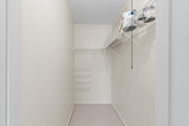 spacious closet with carpet