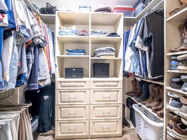 walk in closet with light colored carpet