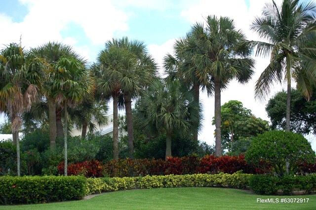 surrounding community with a yard