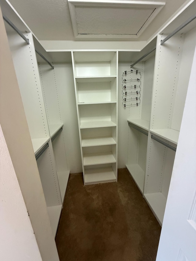 spacious closet featuring dark colored carpet