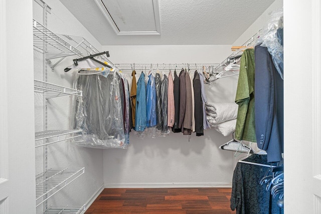 walk in closet featuring dark hardwood / wood-style flooring