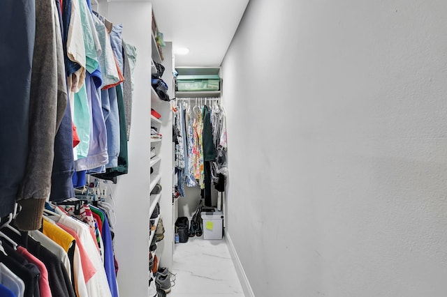 view of walk in closet