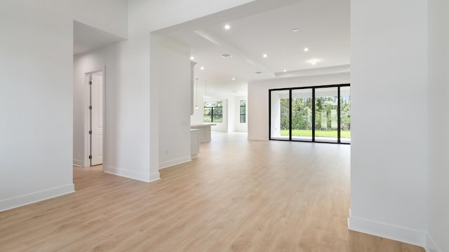 empty room featuring a tray ceiling and light wood-type flooring