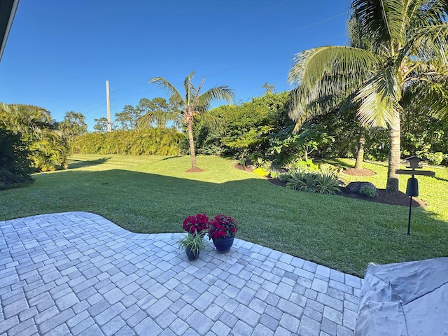 view of yard featuring a patio area