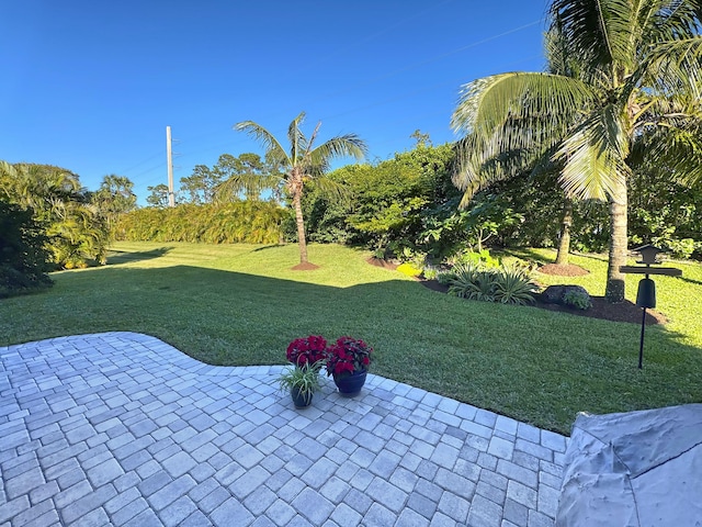 view of yard featuring a patio