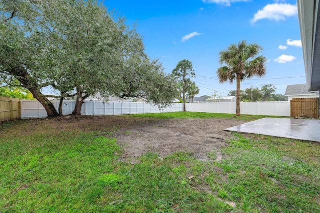 view of yard featuring a patio area