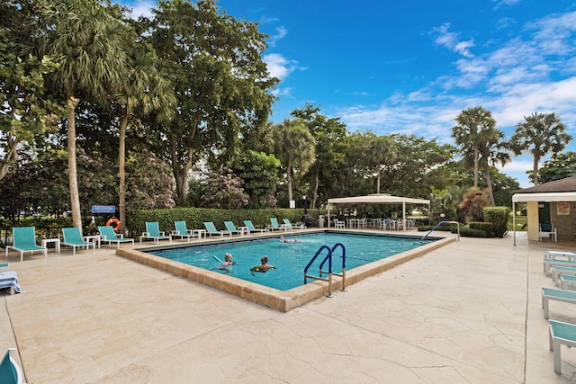 view of swimming pool with a patio